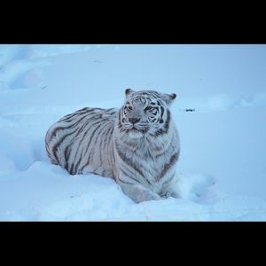 Meet your Posher, Barbara